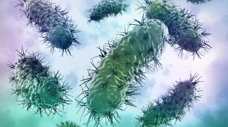Bacterias modificadas genéticamente para buscar y destruir tumores